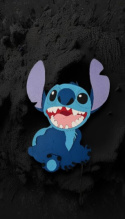 STICH