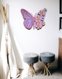 MOTYL