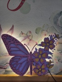 MOTYL